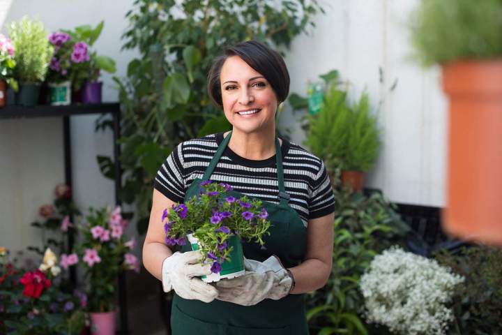 Vente de plants Cérilly